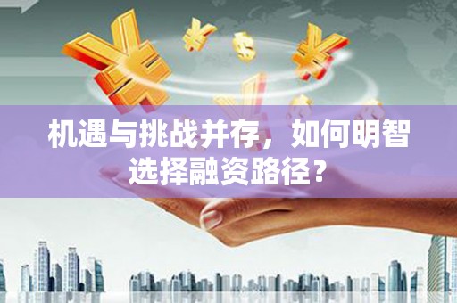 南岸机遇与挑战并存，如何明智选择融资路径？