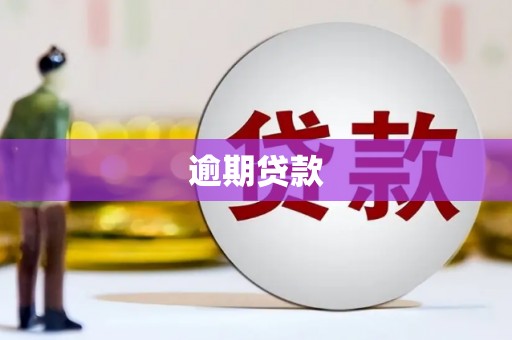 南岸逾期贷款