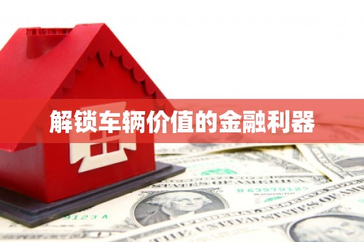 南岸解锁车辆价值的金融利器