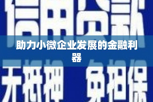 南岸助力小微企业发展的金融利器