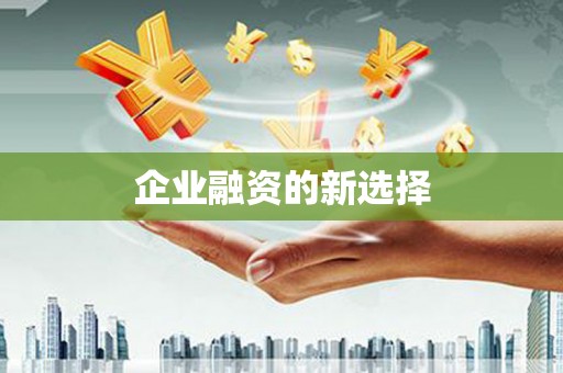 南岸企业融资的新选择