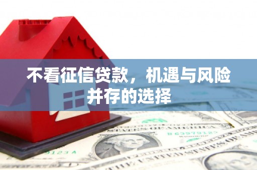 南岸不看征信贷款，机遇与风险并存的选择