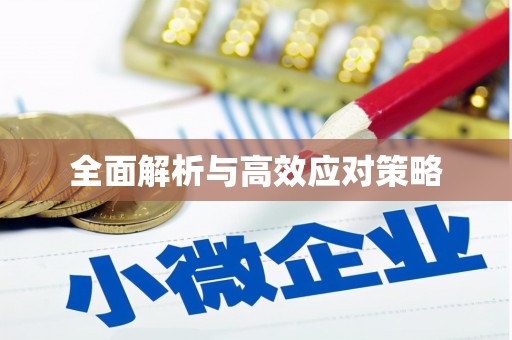 南岸全面解析与高效应对策略