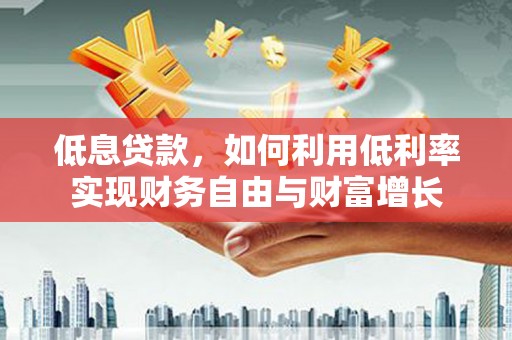 南岸低息贷款，如何利用低利率实现财务自由与财富增长