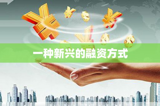 南岸一种新兴的融资方式