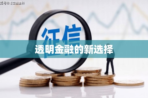 南岸透明金融的新选择
