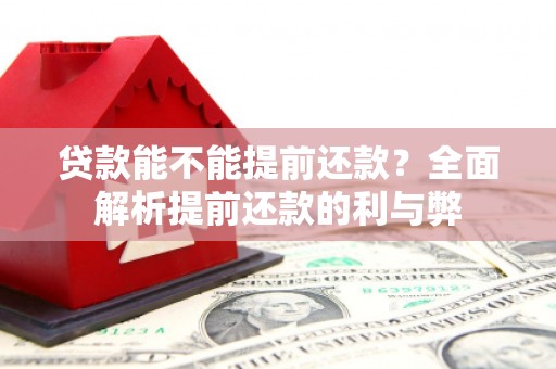 南岸贷款能不能提前还款？全面解析提前还款的利与弊