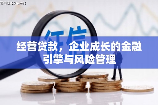南岸经营贷款，企业成长的金融引擎与风险管理