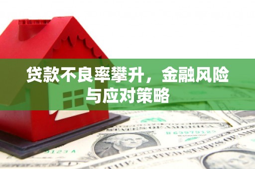 南岸贷款不良率攀升，金融风险与应对策略