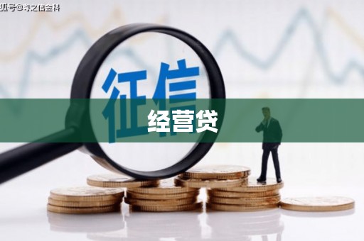 南岸经营贷